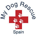 MediumSquareLogo.jpg